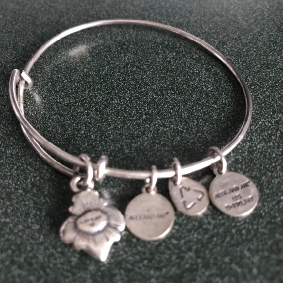 Alex And Ani Expandable Wire Bangle Bracelet - Picture 10 of 16